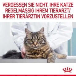 Royal Canin Hairball Care Katzenfutter Nass Gegen Haarballen 21 Royal Canin Hairball Care Katzenfutter Nass Gegen Haarballen -Günstiges Futter Katze Geschäft royal canin hairball care katzenfutter nass gegen haarballen 1679651400