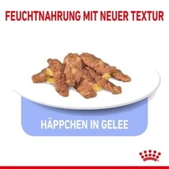 Royal Canin Indoor Sterilised Katzenfutter 7+ Nass In Gelee Und Sauce 14 Royal Canin Indoor Sterilised Katzenfutter 7+ Nass In Gelee Und Sauce -Günstiges Futter Katze Geschäft royal canin indoor sterilised katzenfutter 7 nass in gelee und sauce 1652353414