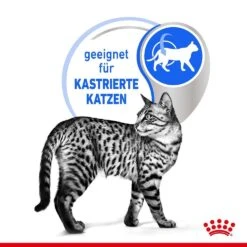 Royal Canin Indoor Sterilised Katzenfutter Adult Nass In Sauce Oder Gelee -Günstiges Futter Katze Geschäft royal canin indoor sterilised katzenfutter adult nass in sauce oder gelee 1652352329