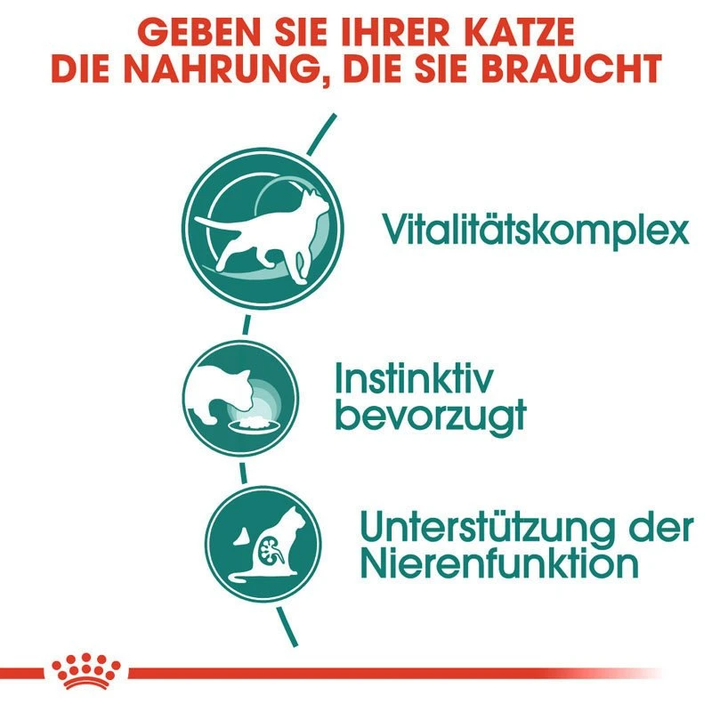 Royal Canin Instinctive 7+ Nassfutter In Soße Für ältere Katzen 5 Royal Canin Instinctive 7+ Nassfutter In Soße Für ältere Katzen – Bild 3