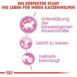 Royal Canin Kitten Nassfutter 16 Royal Canin Kitten Nassfutter -Günstiges Futter Katze Geschäft royal canin kitten nassfutter in sosse oder gelee fuer kaetzchen 1565873774