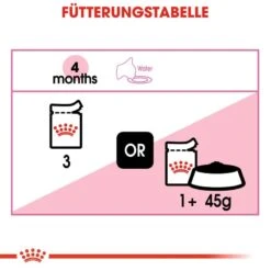 Royal Canin Kitten Nassfutter 18 Royal Canin Kitten Nassfutter -Günstiges Futter Katze Geschäft royal canin kitten nassfutter in sosse oder gelee fuer kaetzchen 1565873778