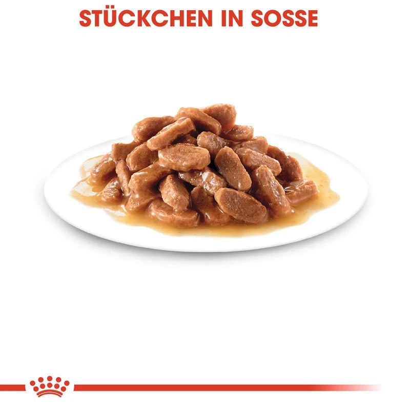 Royal Canin Kitten Nassfutter 10 Royal Canin Kitten Nassfutter – Bild 8