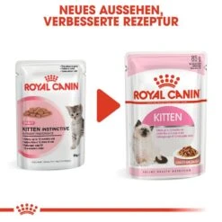 Royal Canin Kitten Nassfutter 21 Royal Canin Kitten Nassfutter -Günstiges Futter Katze Geschäft royal canin kitten nassfutter in sosse oder gelee fuer kaetzchen 1565873784