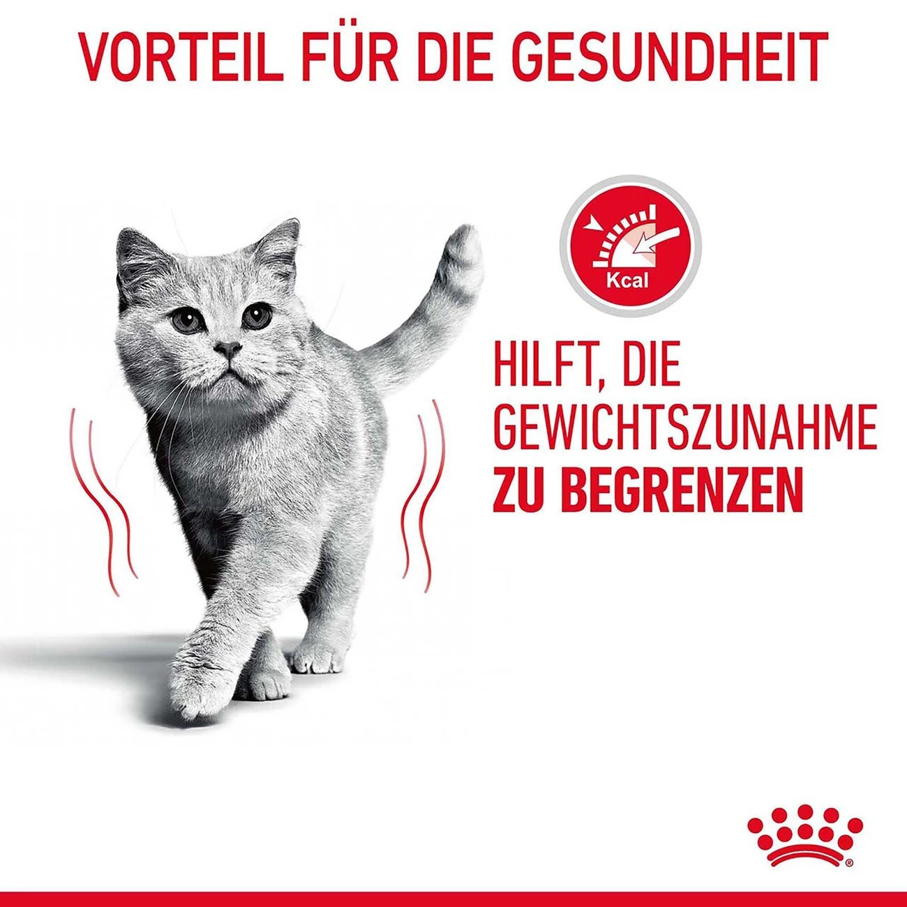 Royal Canin Light Weight Care Nassfutter Für übergewichtige Katzen 11 Royal Canin Light Weight Care Nassfutter Für übergewichtige Katzen – Bild 9