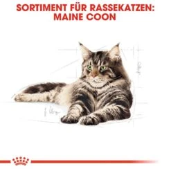Royal Canin Maine Coon Adult Katzenfutter Nass -Günstiges Futter Katze Geschäft royal canin maine coon adult katzenfutter nass 1565698328