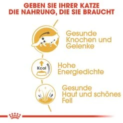 Royal Canin Maine Coon Adult Katzenfutter Nass -Günstiges Futter Katze Geschäft royal canin maine coon adult katzenfutter nass 1565698342