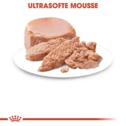 Royal Canin MOTHER & BABYCAT Mousse Für Tragende Katzen Und Kitten 9 Royal Canin MOTHER & BABYCAT Mousse Für Tragende Katzen Und Kitten -Günstiges Futter Katze Geschäft royal canin mother babycat mousse fuer tragende katzen und kitten 1565874518