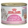 Royal Canin MOTHER & BABYCAT Mousse Für Tragende Katzen Und Kitten 1 Royal Canin MOTHER & BABYCAT Mousse Für Tragende Katzen Und Kitten -Günstiges Futter Katze Geschäft royal canin mother babycat mousse fuer tragende katzen und kitten 1591979268