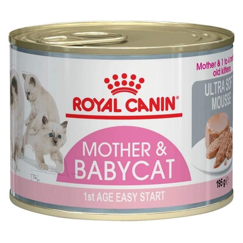 Royal Canin MOTHER & BABYCAT Mousse Für Tragende Katzen Und Kitten 3 Royal Canin MOTHER & BABYCAT Mousse Für Tragende Katzen Und Kitten