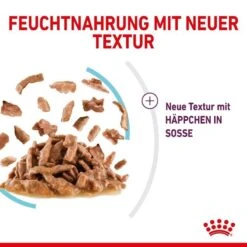 Royal Canin Sensory Feel Stimulation Katzen Nass Futter 18 Royal Canin Sensory Feel Stimulation Katzen Nass Futter -Günstiges Futter Katze Geschäft royal canin sensory feel stimulation katzen nass futter 1631092390
