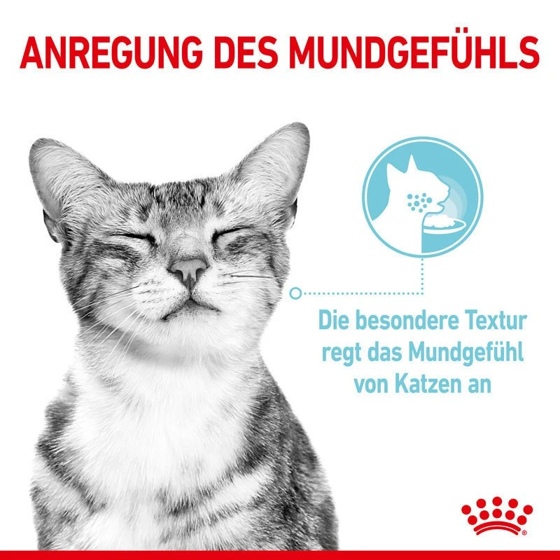 Royal Canin Sensory Feel Stimulation Katzen Nass Futter 6 Royal Canin Sensory Feel Stimulation Katzen Nass Futter – Bild 4