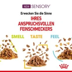 Royal Canin Sensory Feel Stimulation Katzen Nass Futter 19 Royal Canin Sensory Feel Stimulation Katzen Nass Futter -Günstiges Futter Katze Geschäft royal canin sensory feel stimulation katzen nass futter 1631092398