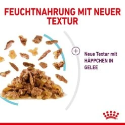 Royal Canin Sensory Feel Stimulation Katzen Nass Futter 24 Royal Canin Sensory Feel Stimulation Katzen Nass Futter -Günstiges Futter Katze Geschäft royal canin sensory feel stimulation katzen nass futter 1631092581