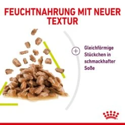 Royal Canin Sensory Smell Stimulation Katzen Nassfutter 20 Royal Canin Sensory Smell Stimulation Katzen Nassfutter -Günstiges Futter Katze Geschäft royal canin sensory smell stimulation katzen nassfutter 1631092726