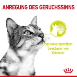 Royal Canin Sensory Smell Stimulation Katzen Nassfutter 18 Royal Canin Sensory Smell Stimulation Katzen Nassfutter -Günstiges Futter Katze Geschäft royal canin sensory smell stimulation katzen nassfutter 1631092728