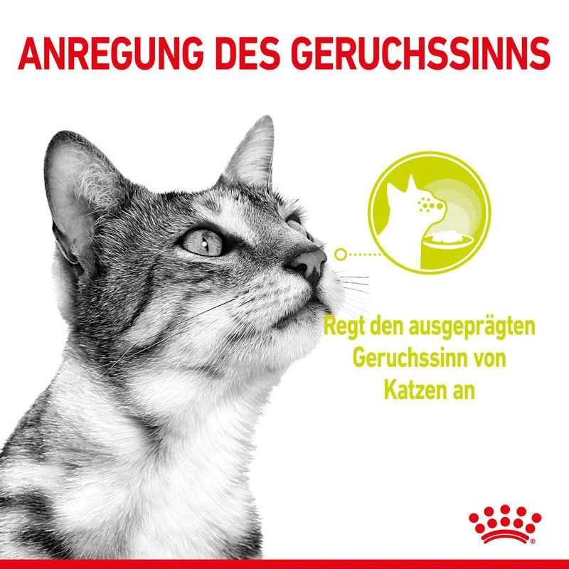 Royal Canin Sensory Smell Stimulation Katzen Nassfutter 5 Royal Canin Sensory Smell Stimulation Katzen Nassfutter – Bild 3