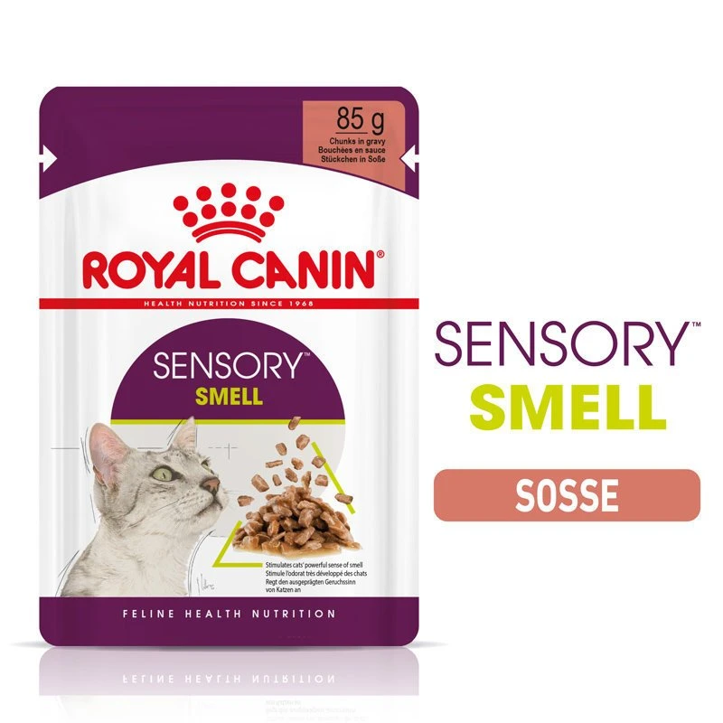 Royal Canin Sensory Smell Stimulation Katzen Nassfutter 4 Royal Canin Sensory Smell Stimulation Katzen Nassfutter – Bild 2