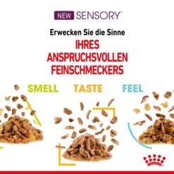 Royal Canin Sensory Smell Stimulation Katzen Nassfutter 19 Royal Canin Sensory Smell Stimulation Katzen Nassfutter -Günstiges Futter Katze Geschäft royal canin sensory smell stimulation katzen nassfutter 1631092734