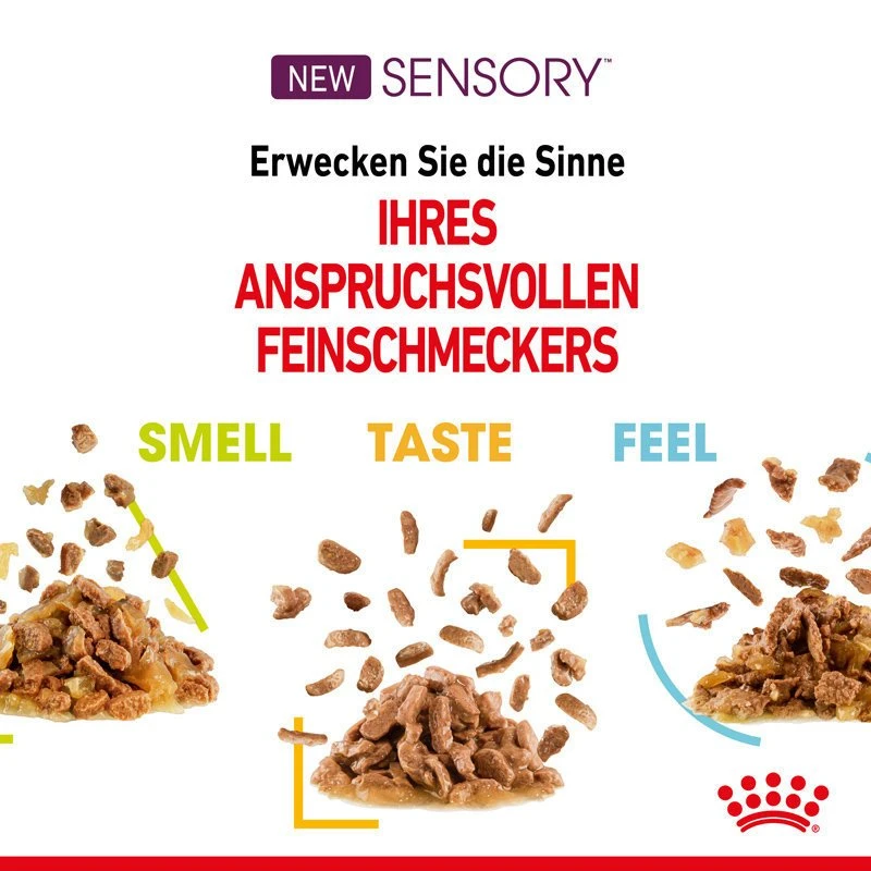 Royal Canin Sensory Smell Stimulation Katzen Nassfutter 6 Royal Canin Sensory Smell Stimulation Katzen Nassfutter – Bild 4