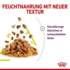 Royal Canin Sensory Smell Stimulation Katzen Nassfutter 26 Royal Canin Sensory Smell Stimulation Katzen Nassfutter -Günstiges Futter Katze Geschäft royal canin sensory smell stimulation katzen nassfutter 1631092807
