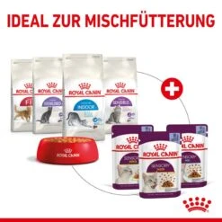 Royal Canin Sensory Smell Stimulation Katzen Nassfutter 27 Royal Canin Sensory Smell Stimulation Katzen Nassfutter -Günstiges Futter Katze Geschäft royal canin sensory smell stimulation katzen nassfutter 1631092812
