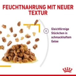 Royal Canin Sensory Taste Stimulation Katzen Nassfutter -Günstiges Futter Katze Geschäft royal canin sensory taste stimulation katzen nassfutter 1631093067