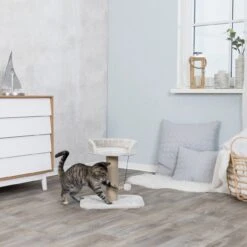 TRIXIE Kleiner Trixie Kratzbaum Mica -Günstiges Futter Katze Geschäft trixie kleiner kratzbaum mica 1609242744