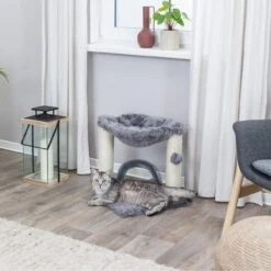 TRIXIE Kratzbaum Baza Mit Plüsch 19 TRIXIE Kratzbaum Baza Mit Plüsch -Günstiges Futter Katze Geschäft trixie kratzbaum baza mit pluesch 1663573754