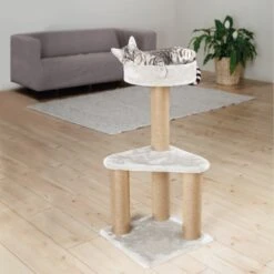 TRIXIE Kratzbaum Ivan -Günstiges Futter Katze Geschäft trixie kratzbaum ivan 1609320541