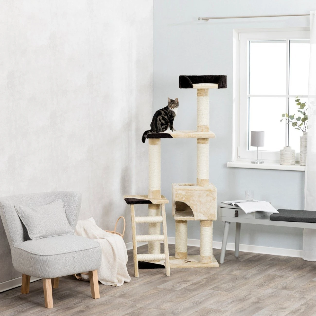 TRIXIE Kratzbaum Montoro 4 TRIXIE Kratzbaum Montoro – Bild 2