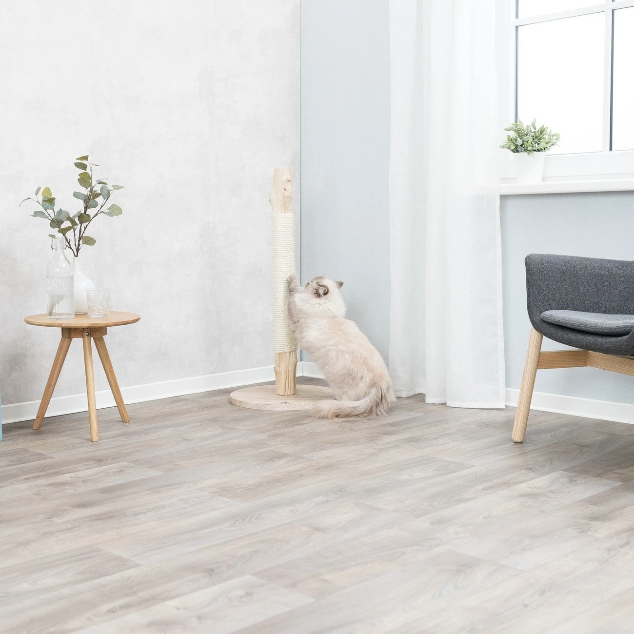 TRIXIE Kratzstamm Aus Naturholz 9 TRIXIE Kratzstamm Aus Naturholz – Bild 7