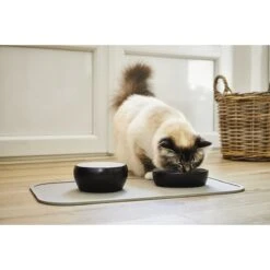 Wolters Diner Colour Katzennapf 11 Wolters Diner Colour Katzennapf -Günstiges Futter Katze Geschäft wolters diner colour katzennapf 1601636703