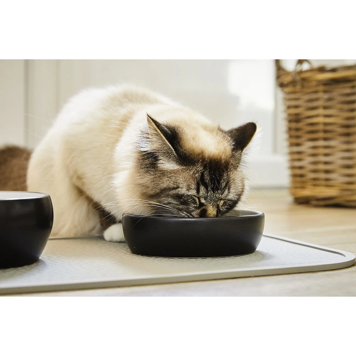 Wolters Diner Colour Katzennapf 4 Wolters Diner Colour Katzennapf – Bild 2