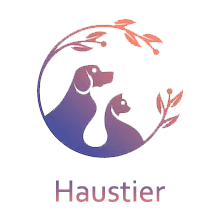 Günstiges Futter Katze Geschäft