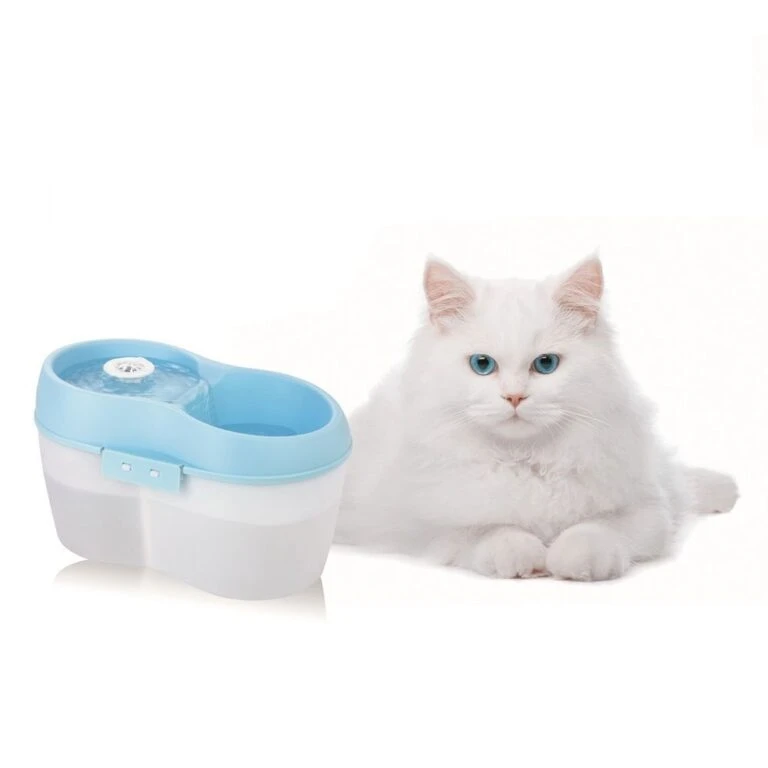 Günstiges Futter Katze Geschäft -Günstiges Futter Katze Geschäft 2